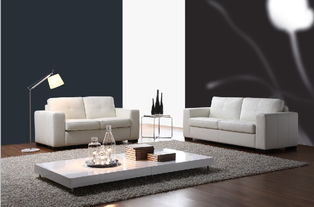 新年家居美容 家具清潔保養(yǎng)全攻略與日常保潔技巧