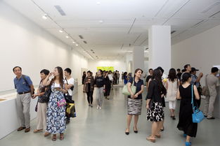 第十二屆全國美展實驗藝術(shù)展區(qū)在北京開幕 推動文化藝術(shù)交流新篇章